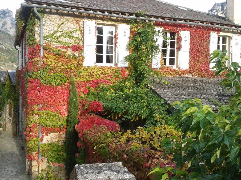 Ermitage De Peyreleau Bed & Breakfast エクステリア 写真