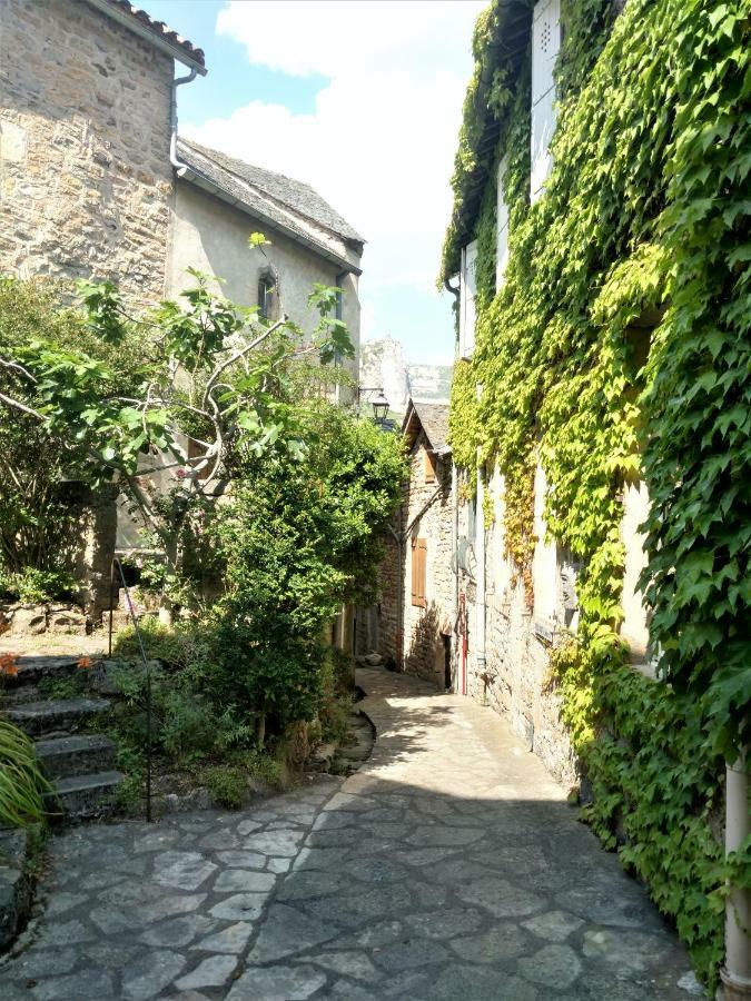 Ermitage De Peyreleau Bed & Breakfast エクステリア 写真